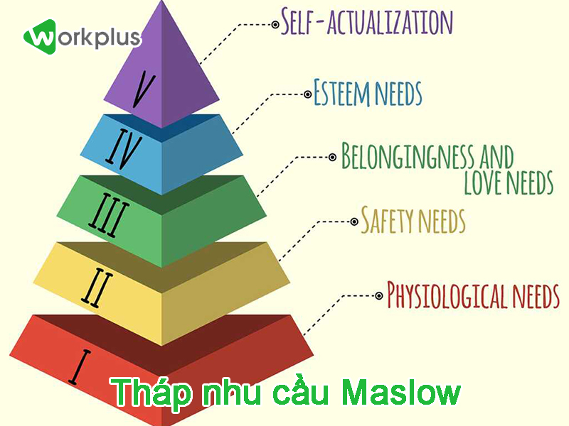 Tháp nhu cầu Maslow mở ra trường phái tâm lý hoàn toàn mới. 