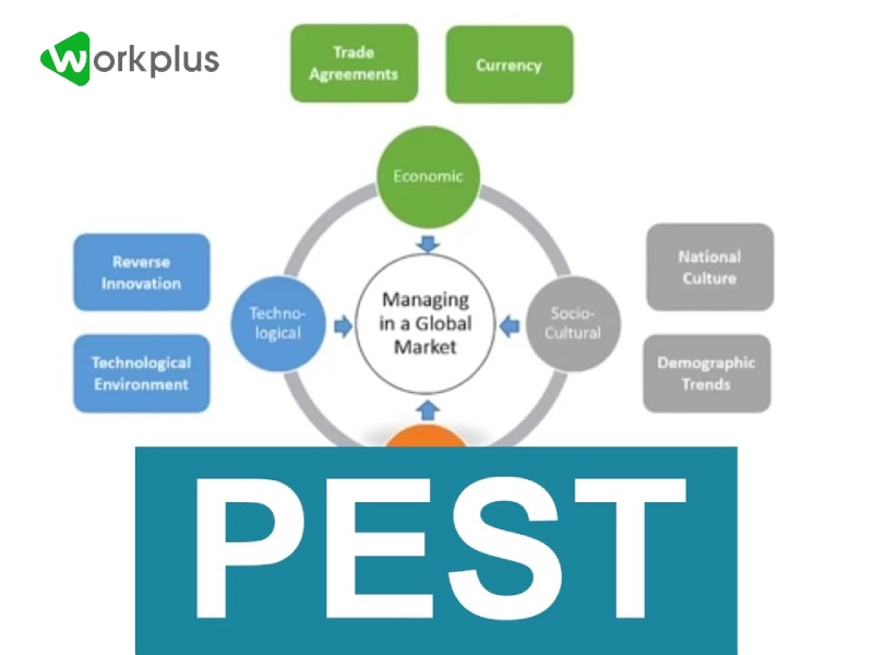 Các yếu tố của mô hình PEST